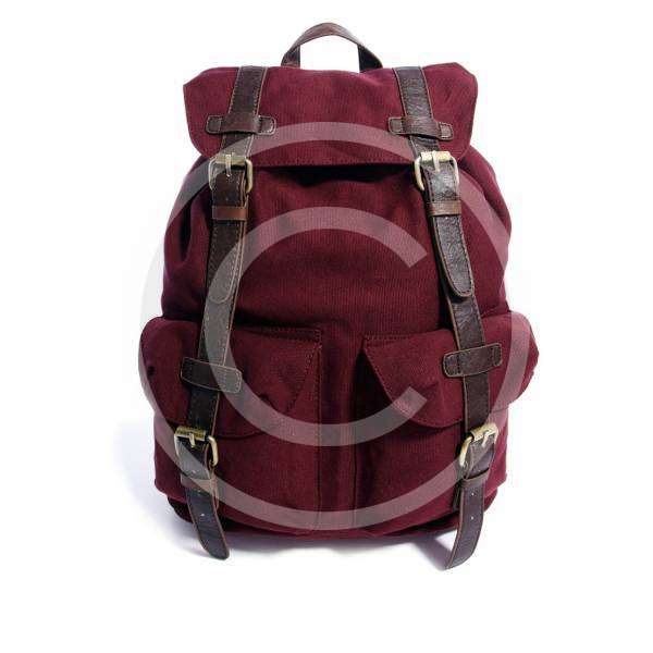 Backpack with Contrast Straps-1