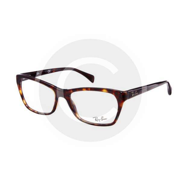 Ray- Ban Wayfarer Glasses-1
